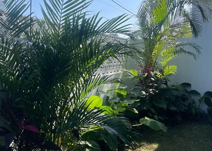 Tropical Luxury - Seseh Living *